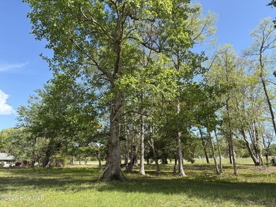 Beach Lot Active Under Contract in Ocean Isle Beach, North Carolina
