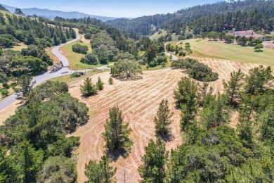 Beach Acreage For Sale in Carmel, California