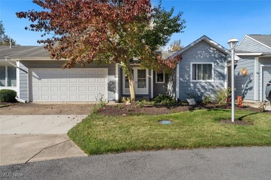 Beach Condo For Sale in Huron, Ohio