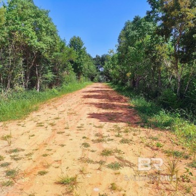 Beach Acreage For Sale in Silverhill, Alabama