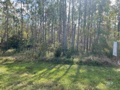 Beach Lot For Sale in Foley, Alabama