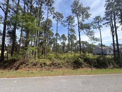 Beach Lot For Sale in Southport, North Carolina