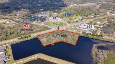 Beach Acreage For Sale in Riverview, Florida