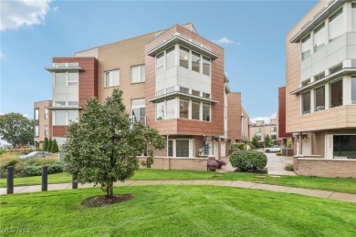 Beach Condo For Sale in Cleveland, Ohio