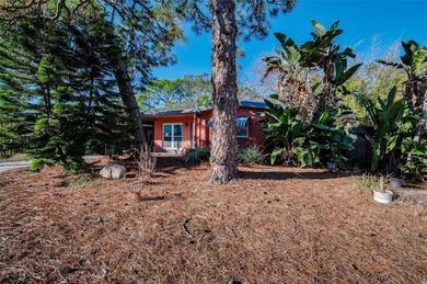 Beach Home For Sale in Palm Harbor, Florida