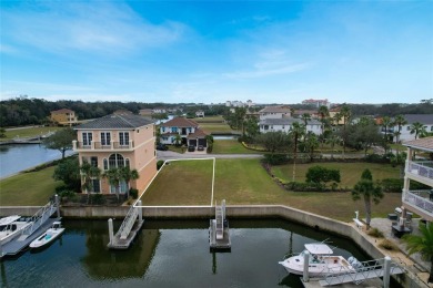 Beach Lot For Sale in Palm Coast, Florida