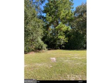 Beach Lot For Sale in Saint Marys, Georgia