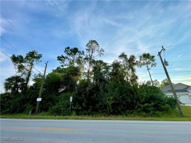 Beach Lot For Sale in Lehigh Acres, Florida