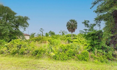 Beach Lot For Sale in Port Charlotte, Florida