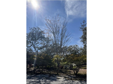 Beach Lot For Sale in Oak Island, North Carolina
