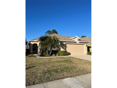 Beach Home For Sale in Land O Lakes, Florida