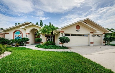 Beach Home For Sale in Trinity, Florida