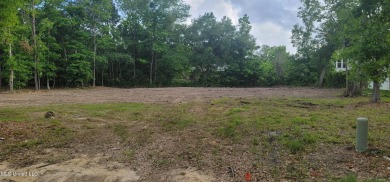 Beach Lot For Sale in Bay Saint Louis, Mississippi