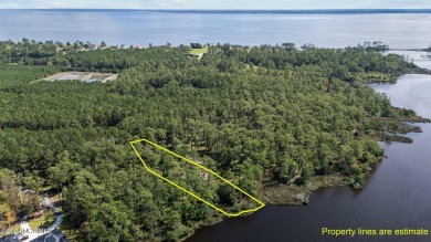 Beach Lot For Sale in Oriental, North Carolina