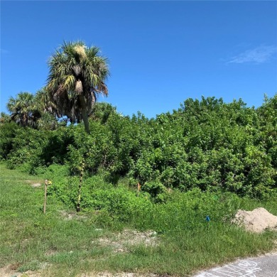 Beach Lot For Sale in Port Charlotte, Florida