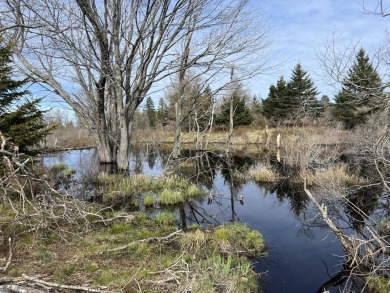 Beach Lot For Sale in Swans Island, Maine