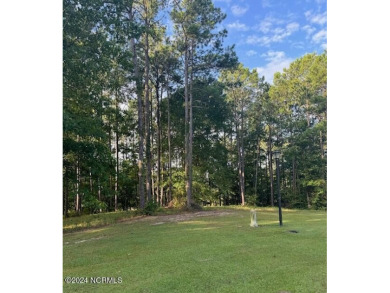 Beach Lot For Sale in Minnesott Beach, North Carolina