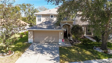 Beach Home For Sale in Land O Lakes, Florida
