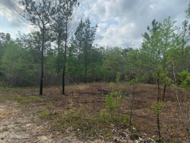 Beach Acreage For Sale in Pass Christian, Mississippi