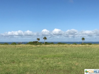 Beach Lot For Sale in Seadrift, Texas