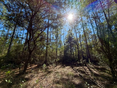 Beach Acreage For Sale in Milton, Florida