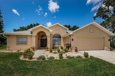 Beach Home For Sale in Trinity, Florida