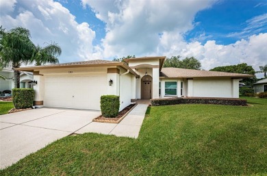 Beach Home For Sale in Trinity, Florida