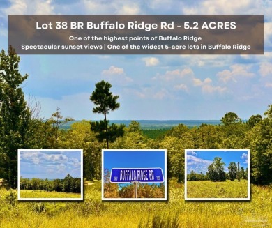 Beach Acreage For Sale in Pace, Florida