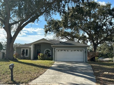 Beach Home For Sale in Palm Harbor, Florida