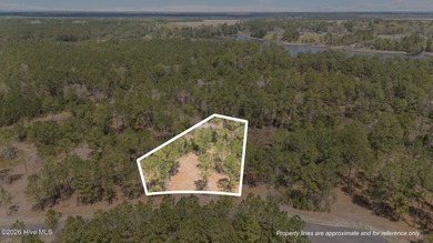 Beach Lot For Sale in Vandemere, North Carolina