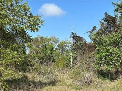 Beach Lot For Sale in Aransas Pass, Texas
