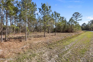 Beach Lot For Sale in Vandemere, North Carolina