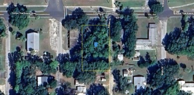 Beach Lot For Sale in Inglis, Florida