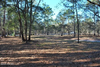 Beach Lot For Sale in Supply, North Carolina