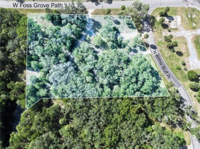 Beach Lot For Sale in Inglis, Florida