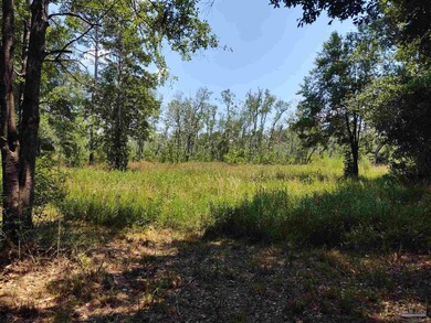 Beach Acreage For Sale in Milton, Florida