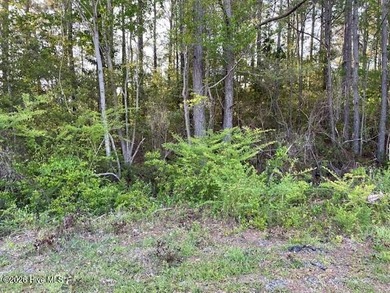 Beach Lot For Sale in Southport, North Carolina