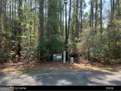 Beach Lot Sale Pending in Saint Marys, Georgia