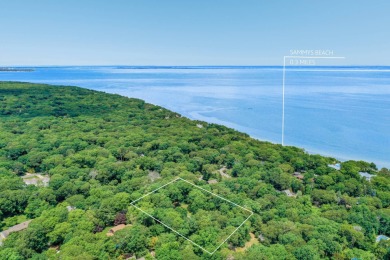 Beach Home For Sale in East Hampton, New York