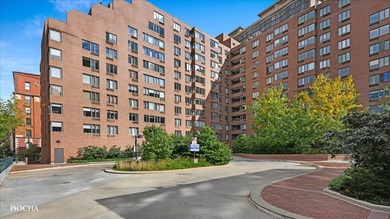 Beach Condo For Sale in Chicago, Illinois