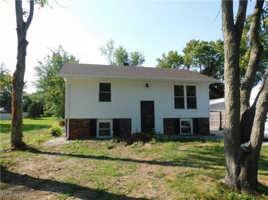 Beach Home For Sale in Ashtabula, Ohio