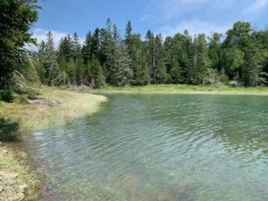 Beach Acreage For Sale in Perry, Maine