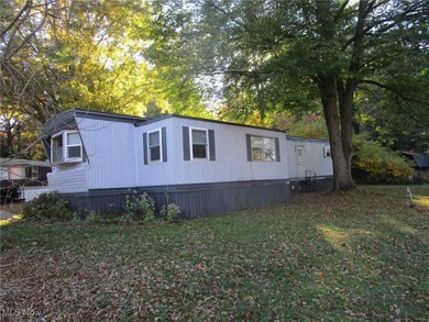 Beach Home For Sale in Ashtabula, Ohio