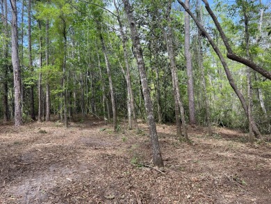 Beach Lot For Sale in Freeport, Florida