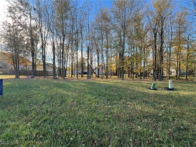 Beach Lot For Sale in Lorain, Ohio