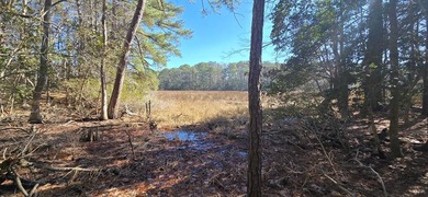 Beach Acreage For Sale in Machipongo, Virginia