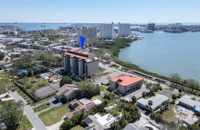 Beach Condo For Sale in South Pasadena, Florida