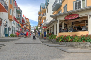 Beach Condo For Sale in Mont-Tremblant, 