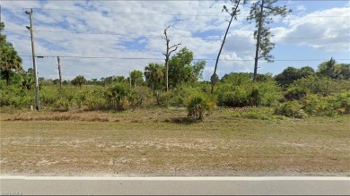 Beach Lot For Sale in Lehigh Acres, Florida