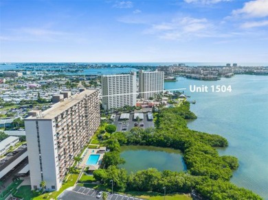 Beach Condo For Sale in South Pasadena, Florida